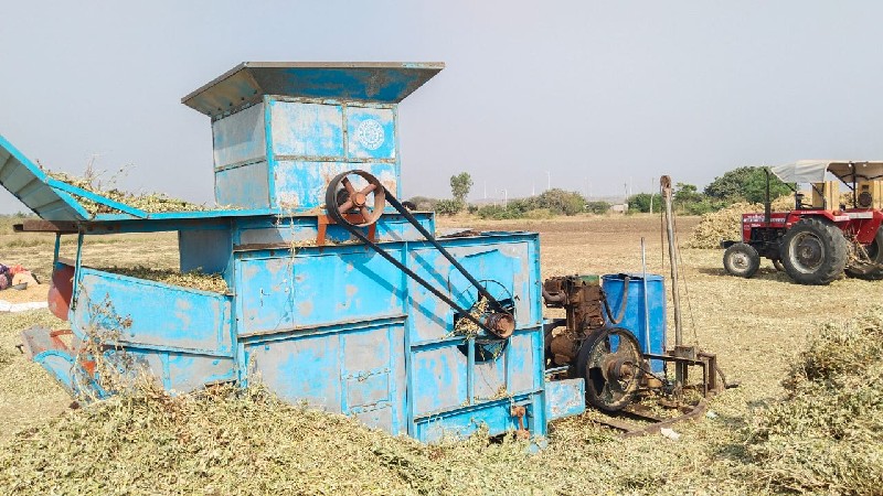 વૃંદાવન હલર વચવ...