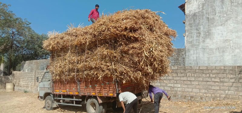 ગાડીભાડેબાઘવવામ...