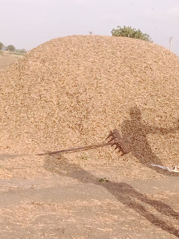 અરદનો ભુકો વેચવ...