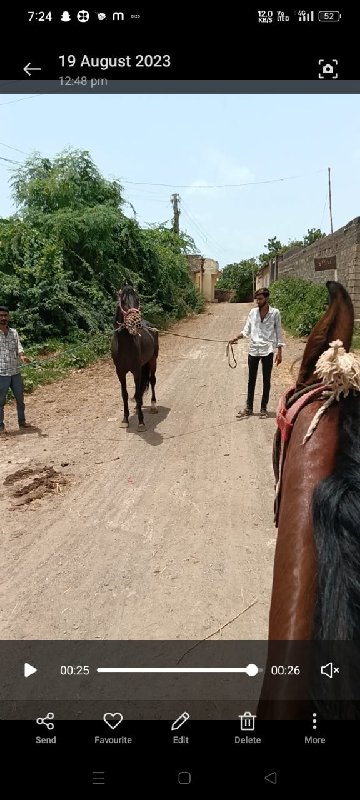 સાવ સોજી સાડા ત...