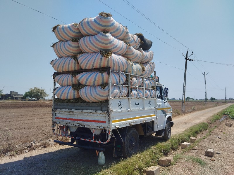 માંડવી નો ભુકો...