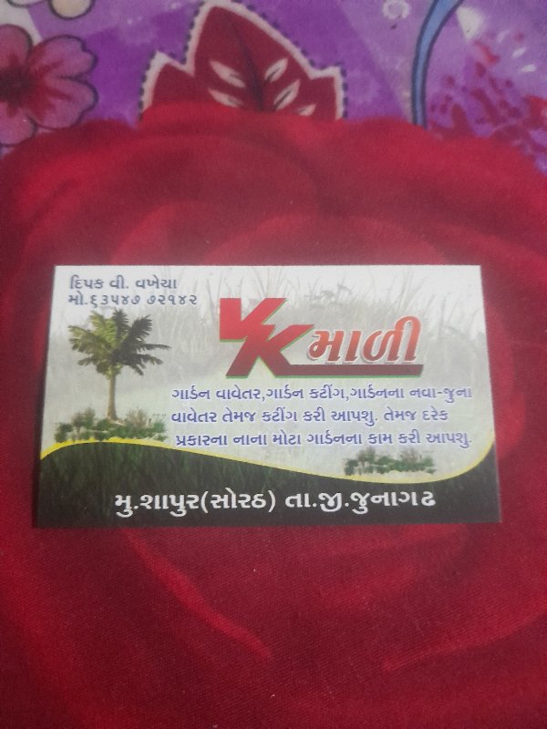 દરેક ફુટનુ વાવે...