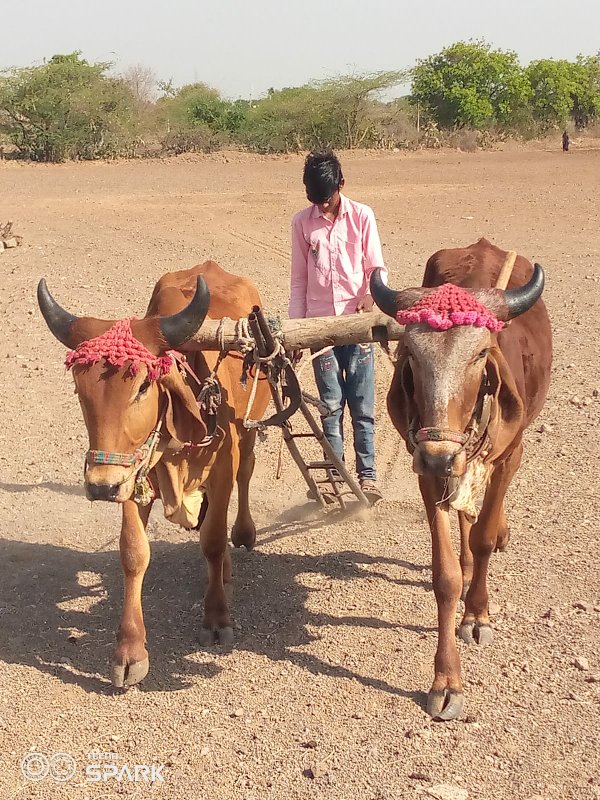 જામનગર જિલ્લો ભ...