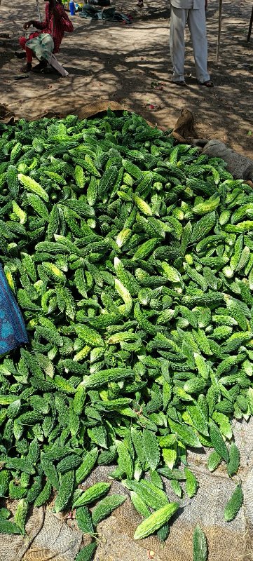 karela