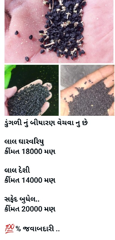 ડુંગળી નું બી