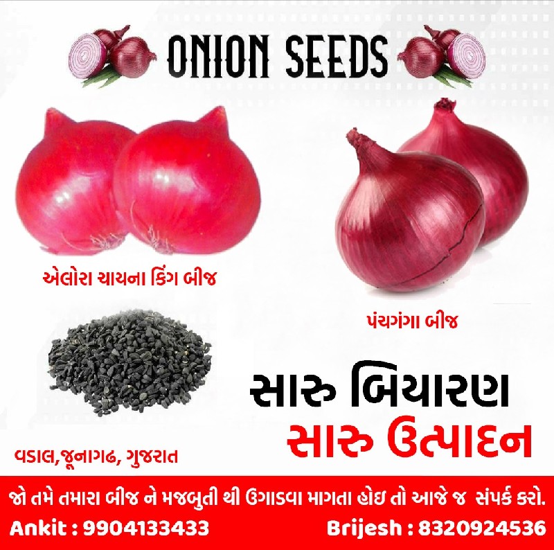 ડુંગળી બિયારણ વ...