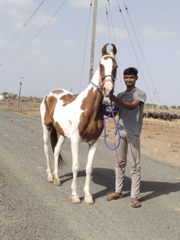 વેચવાની છે