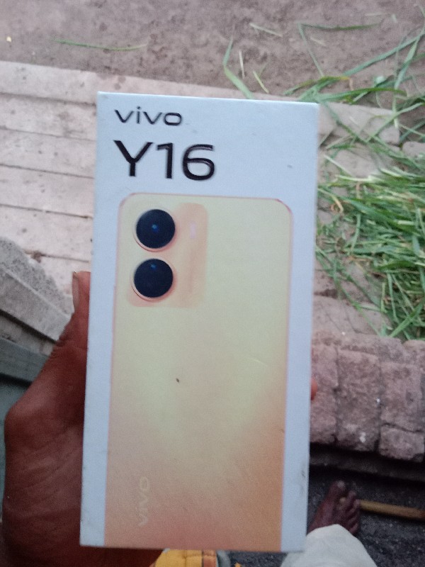 Vivo y 16