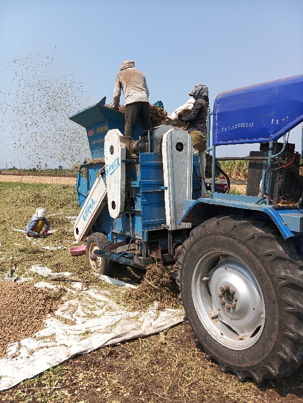 માંડવી નું હલર