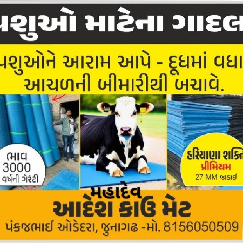 પશુઓ માટે ના ગા...