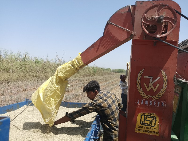 જંગીર હલર