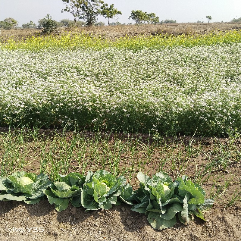 જમીન વેચવા ની છ...