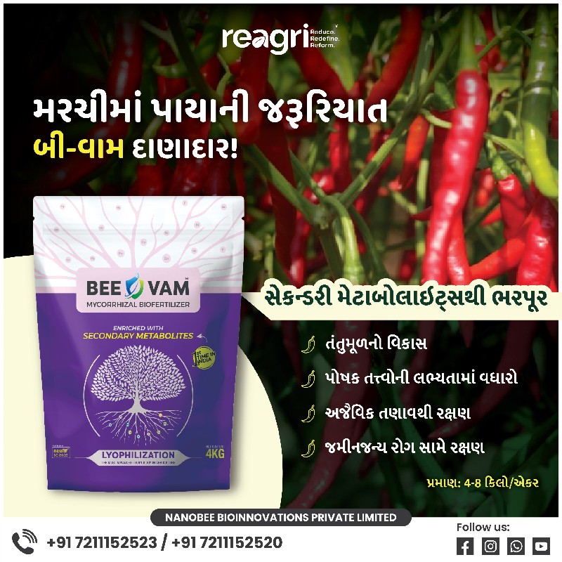 બી-વામ દાણાદાર...