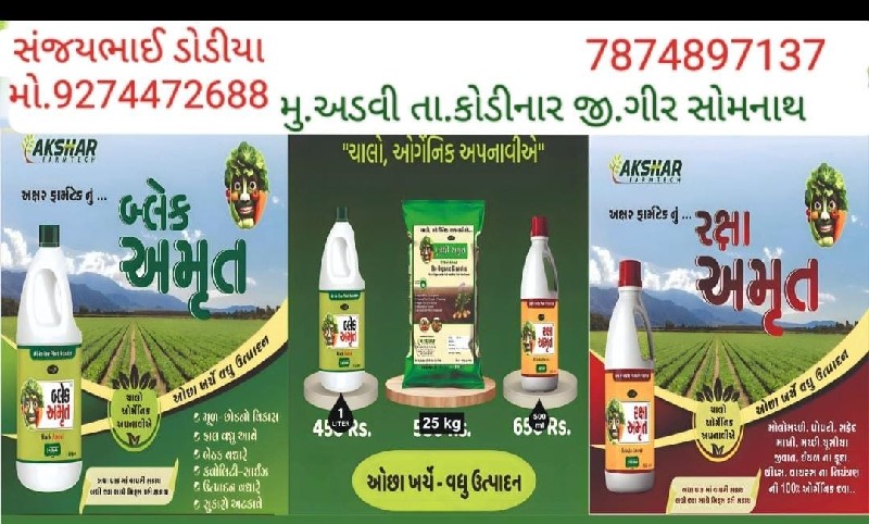 બળદગાડી ના પેવડ...