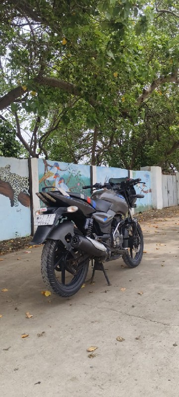 Bajaj Pulsar 12...