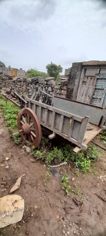 બળદ ગાડી વેસવાન...