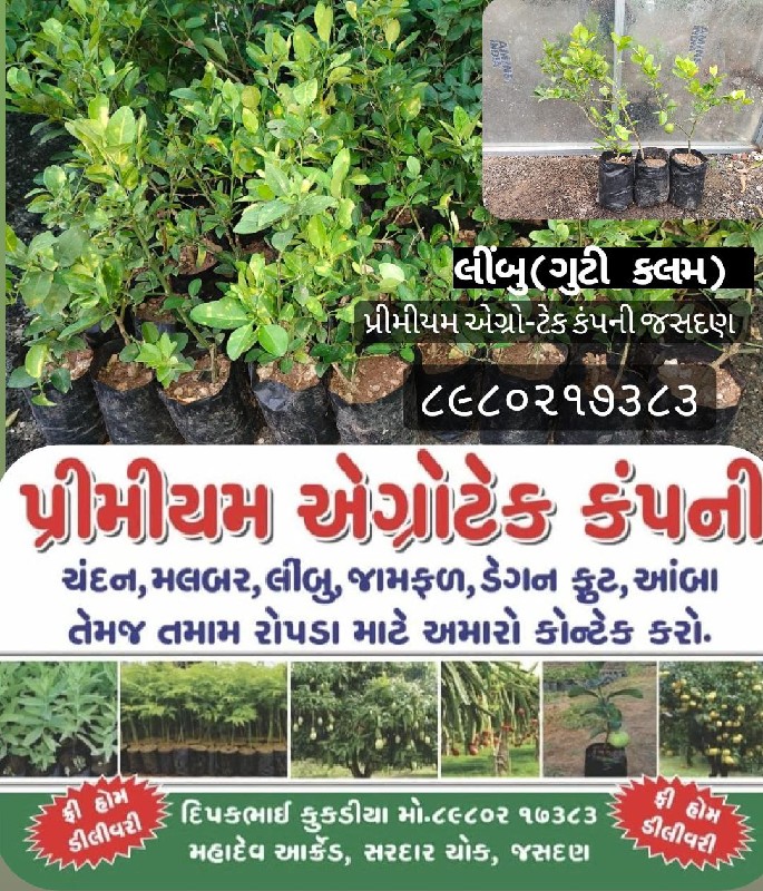 ટોટલ બાગાયતી રો...