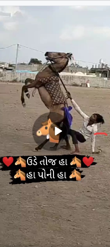 પોનિ ધોડી વેસવા...