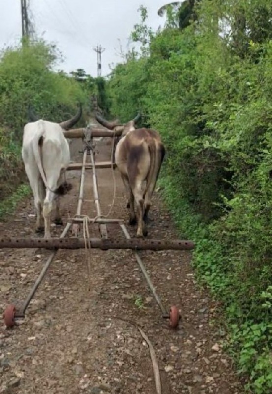 ગોડલા વેચવાના છ...