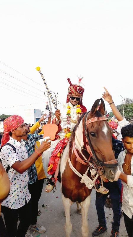 વેશવાની સે