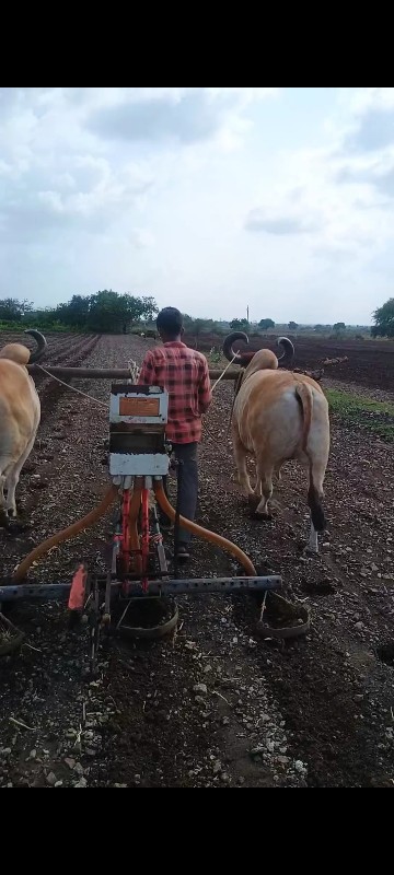 સાવ સોજા બઘીજવા...