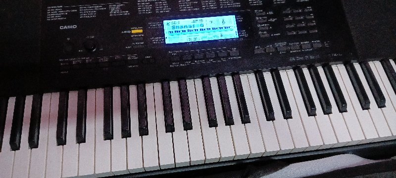 Casio CTK 860 i...