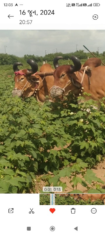 બરધવેચવાનાછે