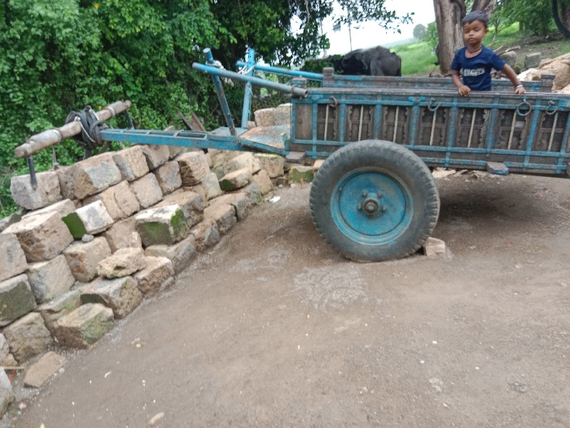 ગાડુ વેસાવશે