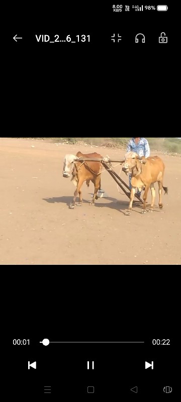 ગોઢલા વેચવાના છ...