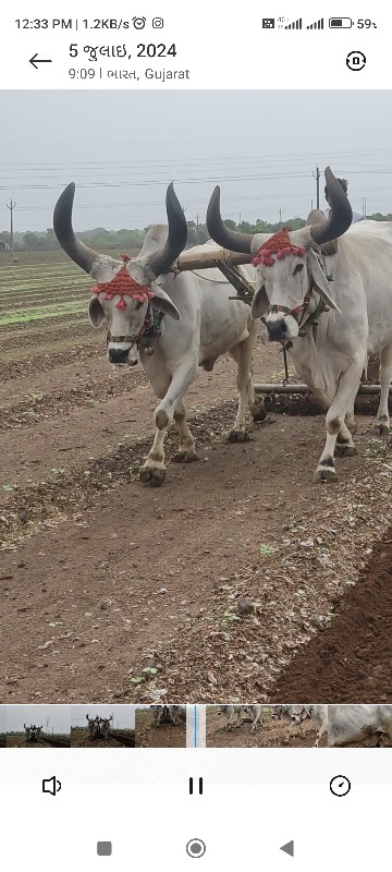 બરધવેચવાના કુલ...