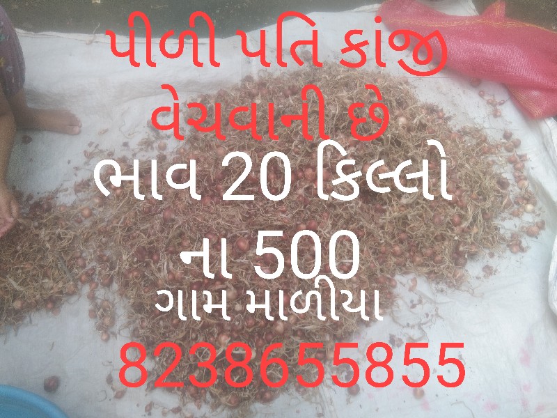 કાંજી ડુંગળી નો...