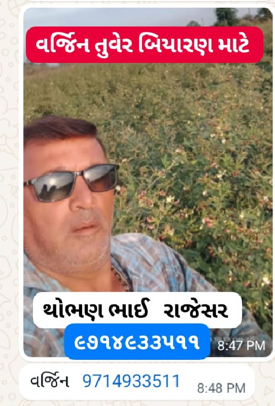 વર્જીન તુવેર નુ...