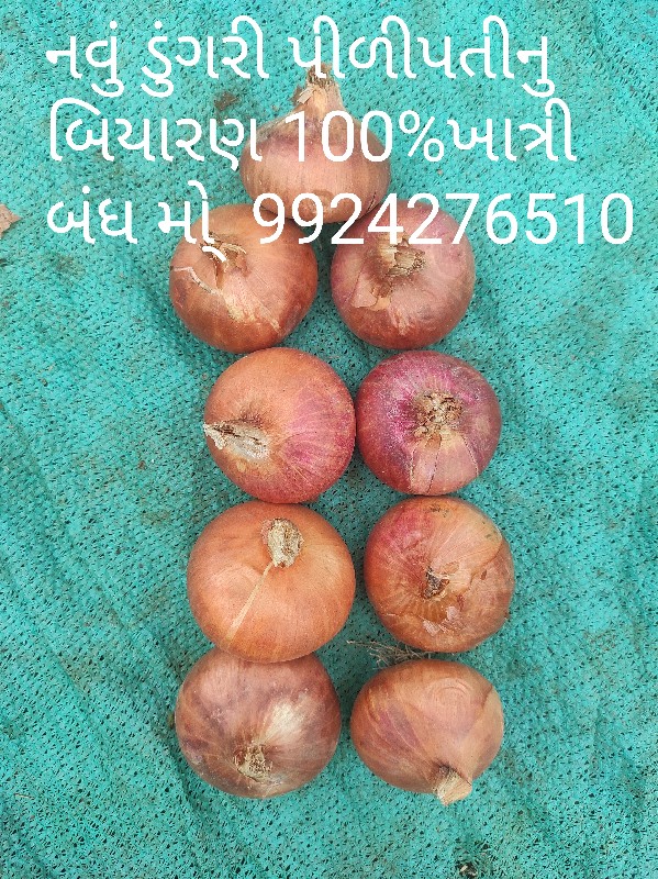 ડુંગળી નું બિયા...