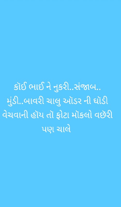 ઘોડી .. વછૅરી.હ...