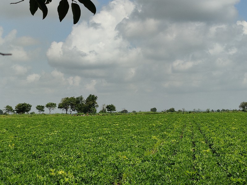 કાદરી લેપાક્ષી...