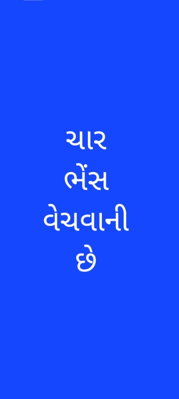 4 ભેંશ વેચવાની...