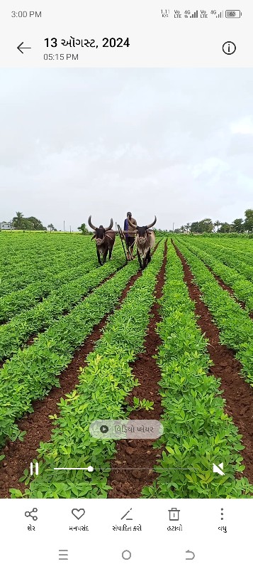 બળદવેશવાનાશે