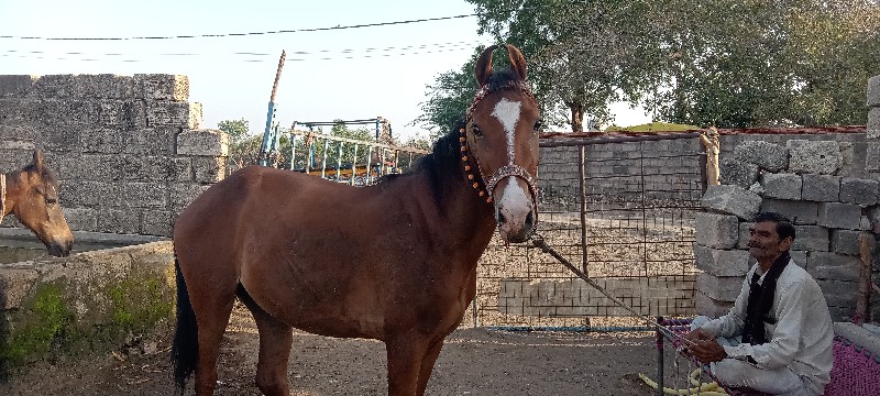 રોકડે પણ આપવાની...