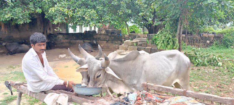 વૅચવાનુ. છૅ