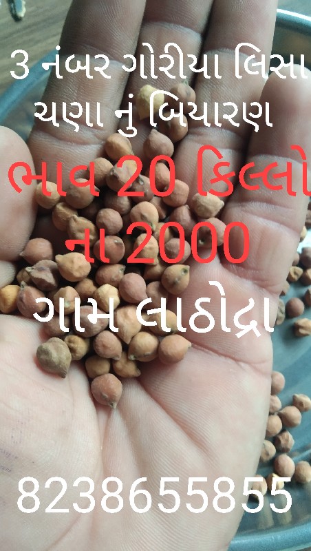 ઘઉં તથા ચણા તથા...