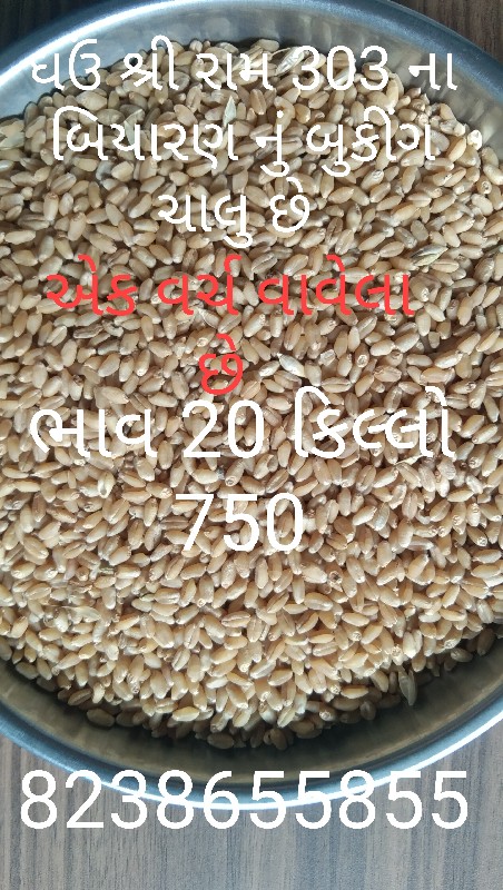 ઘઉં તથા ચણા તથા...