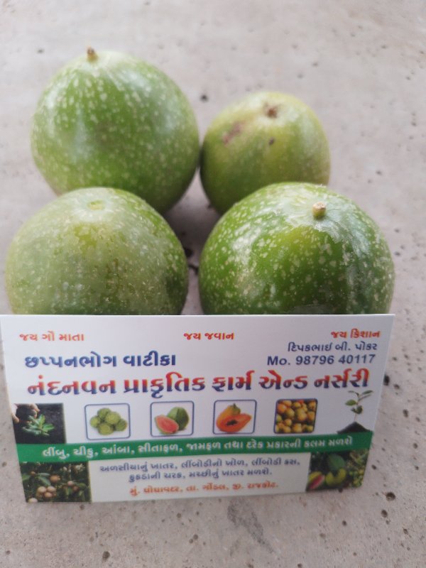 નંદવન પ્રાકૃતિક...