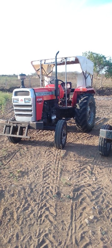 massey 7250