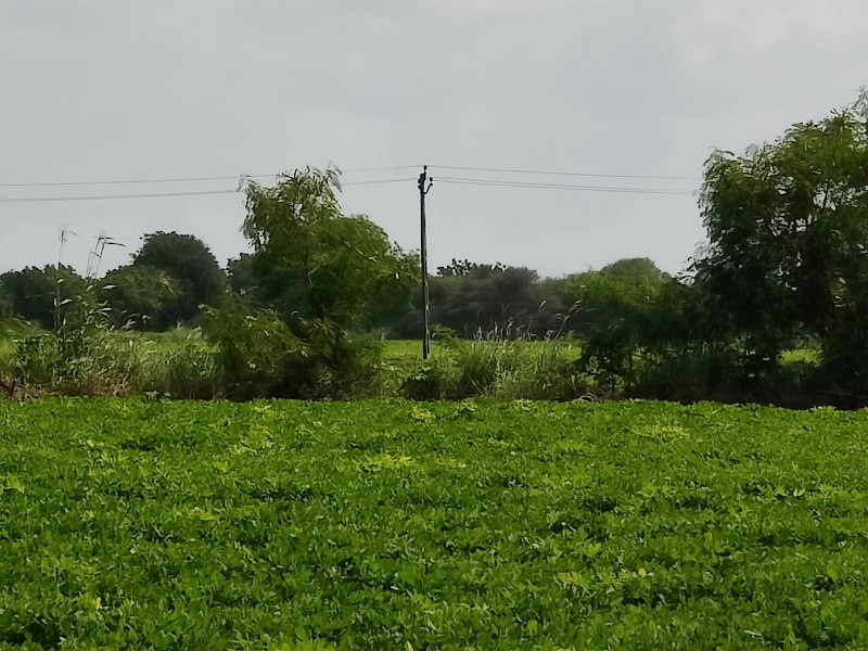 કાદરી લેપાક્ષી...