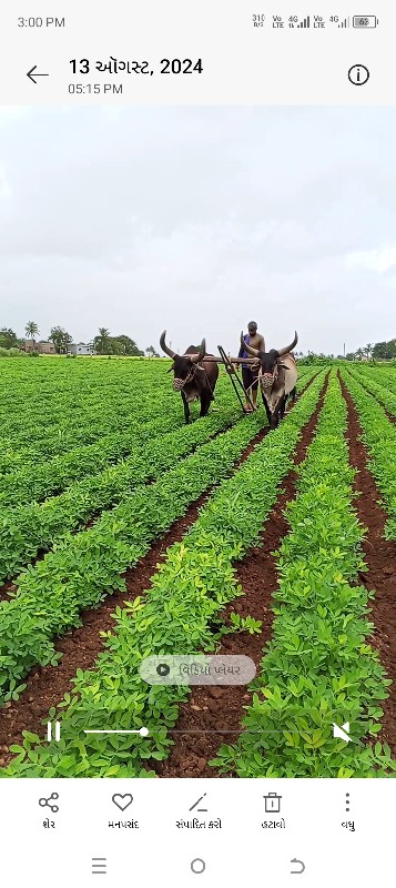 બળદવેશવાનાશે