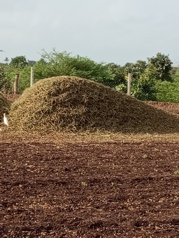 માડવી નો ભુકો વ...