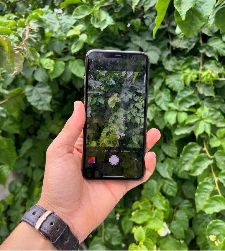 iPhone 11 Pro M...