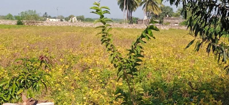 ખેતર વેચવાનુ છે