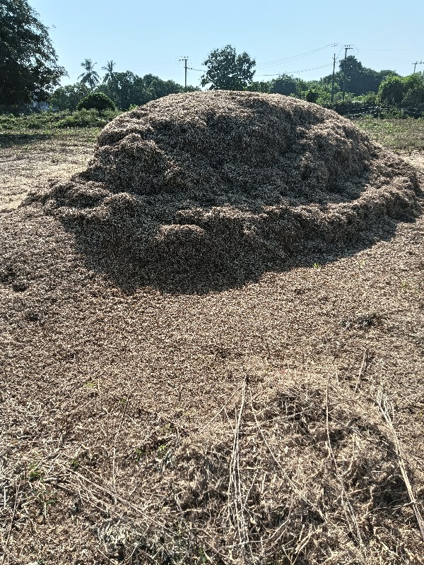 સોયાબીન ભુક્કો