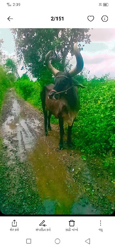 જોડ કરવાની શે